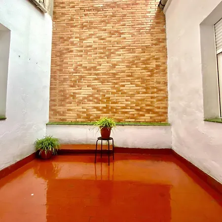 Amplio Con Dos Patios Gijon